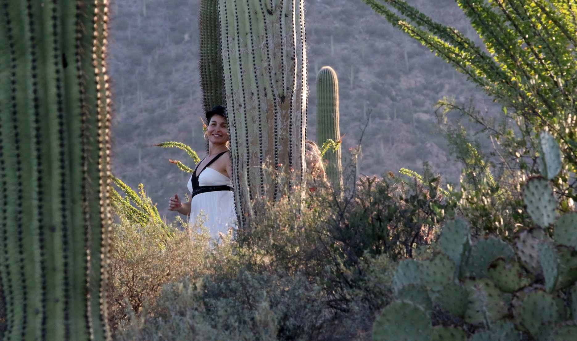 Saguaro Dance